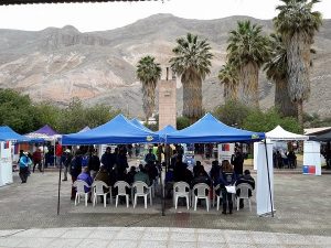 GobiernoPresenteCamina